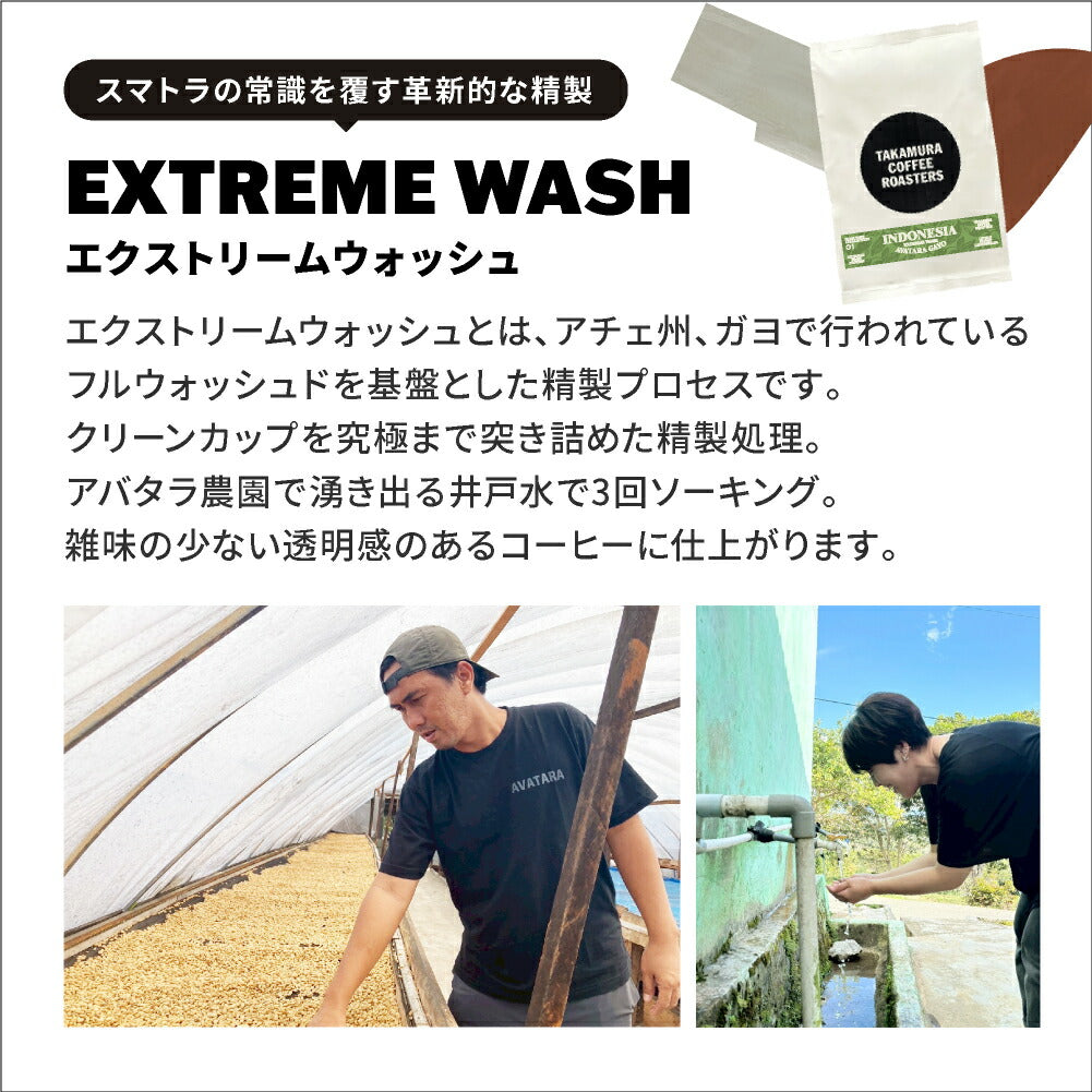 ● メール便送料無料 コーヒー豆 250g×2種入 インドネシア産地を楽しむ♪ 飲み比べ アソート コーヒー セット ( インドネシア アヴァタラ・ガヨ ／ ゴールデントップ・マンデリン ) 珈琲 メール便 送料無料 [C]TCR ※同梱不可