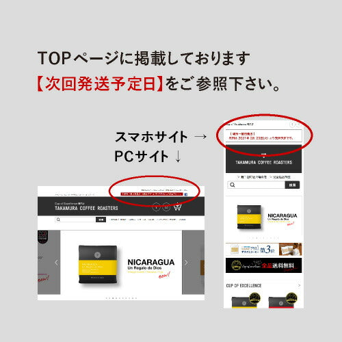 ● 送料無料 コーヒー豆 スペシャルティコーヒー 中煎り インドネシア ガヨ アバタラ エクストリームウォッシュ Gayo Avatara Extreme wash 250g / 500g / 1kg 豆のまま 3種から選べる コーヒー 珈琲 スペシャリティコーヒー [C] TCR