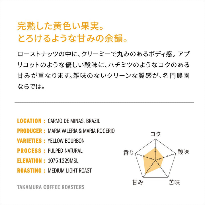 ● 送料無料 コーヒー豆 スペシャルティコーヒー 中浅煎り ブラジル イルマス・ペレイラ農園 イエローブルボン BRAZIL IRMAS PEREIRA YB 250g / 500g / 1kg 豆のまま 3種から選べる コーヒー 珈琲 スペシャリティコーヒー [C] TCR
