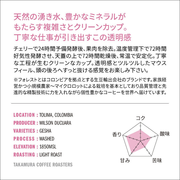 ● 【送料無料】浅煎り コロンビア フォレスト ドゥクアラ ゲイシャ Colombia FOREST Ducuara Geisha