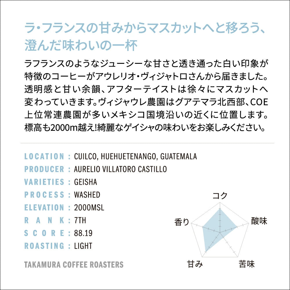 ● 【送料無料】 グァテマラ グアテマラ ゲイシャ ヴィジャウレ COE 