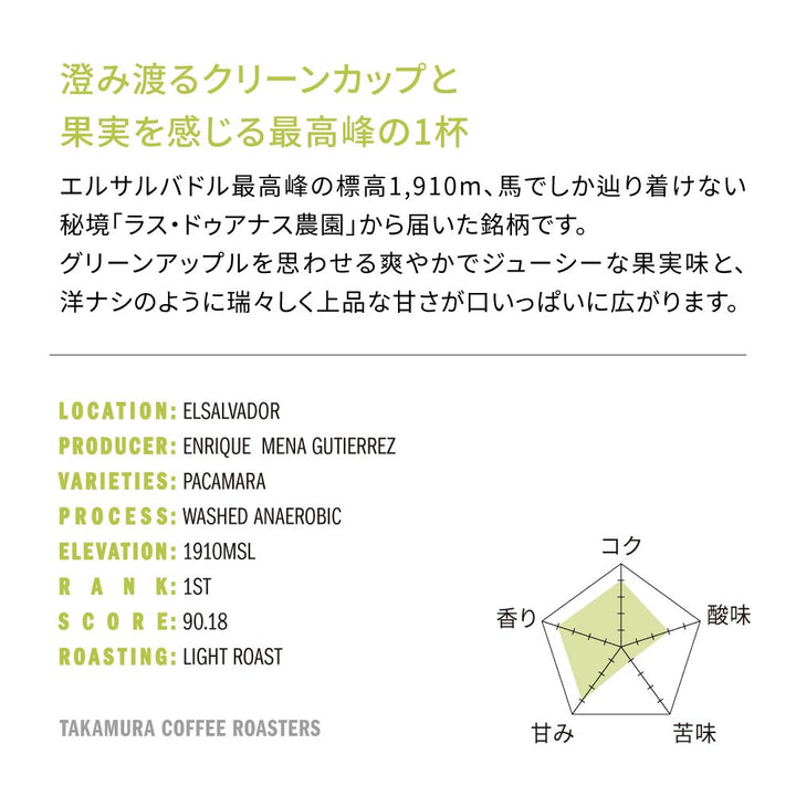 ● 【送料無料】浅煎り エルサルバドル COE25 